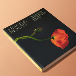 Fragile Beauty V&A exhibition A red poppy set against a black background decorates the cover of the exhibition book